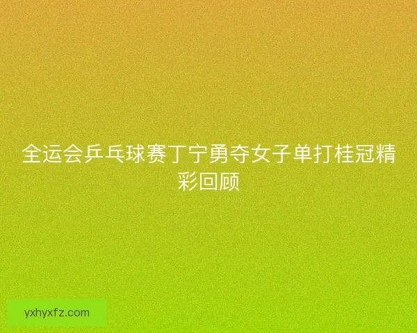 全运会乒乓球赛丁宁勇夺女子单打桂冠精彩回顾 全运会乒乓球赛丁宁勇夺女子单打桂冠精彩回顾